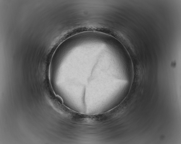 X0000116660496200912291640