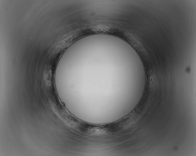 X0000116660498200912291640