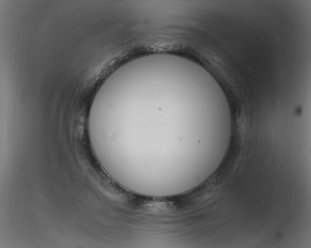 X0000116660499200912291640