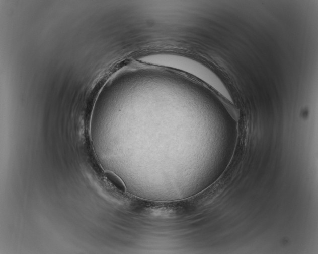 X0000116660500200912291640