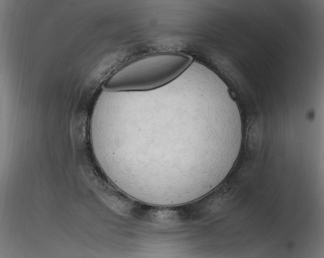 X0000116660501200912291640