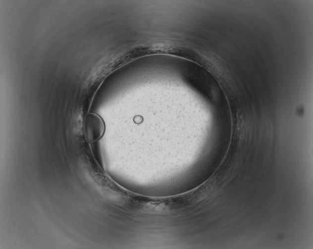 X0000116660502200912291640