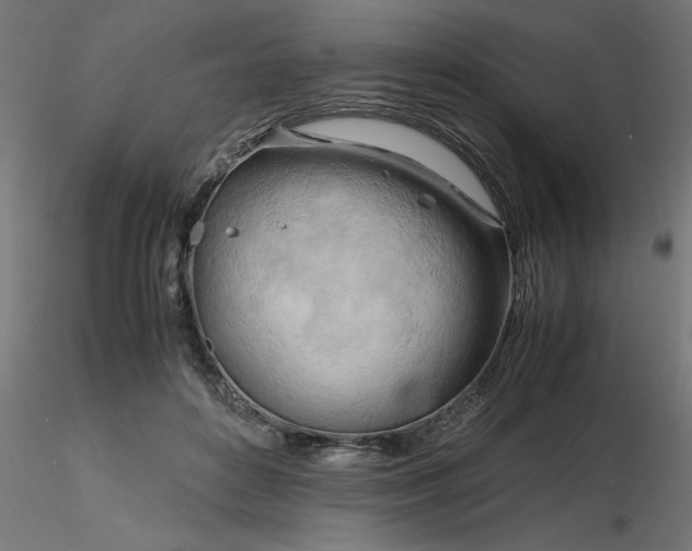 X0000116660504200912291640