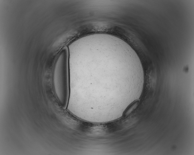 X0000116660505200912291640