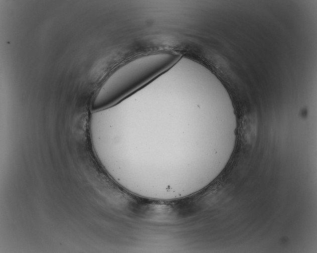 X0000116660509200912291640