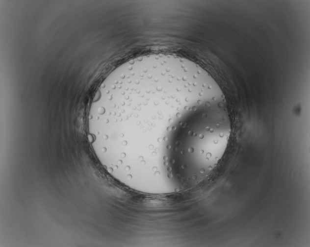 X0000116660510200912291640