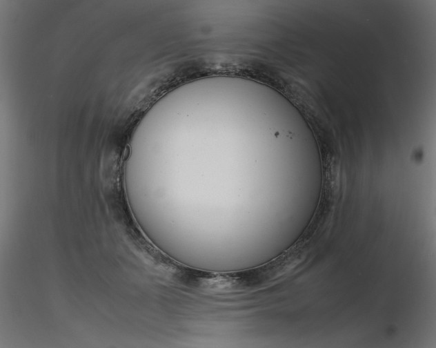 X0000116660511200912291640