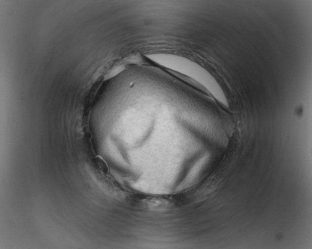 X0000116660512200912291640