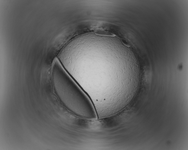 X0000116660513200912291640