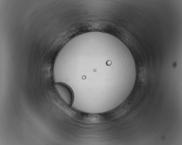 X0000116660514200912291640