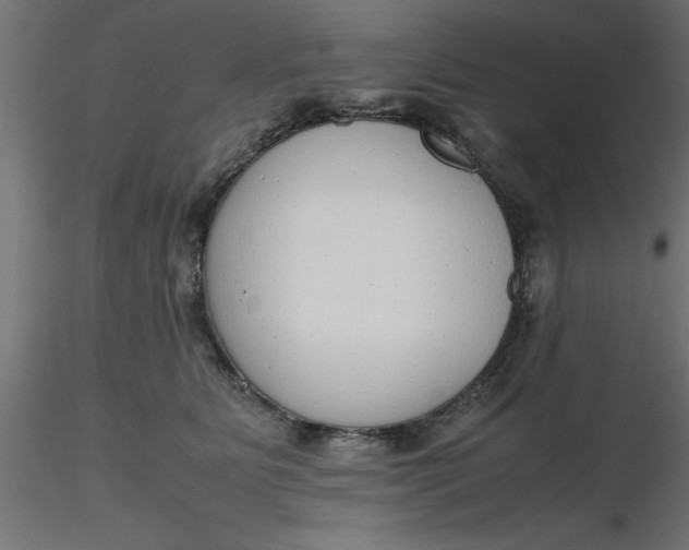 X0000116660515200912291640