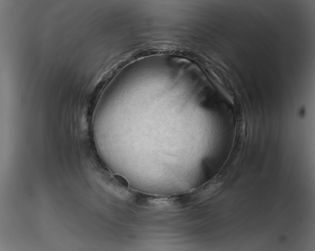 X0000116660516200912291640