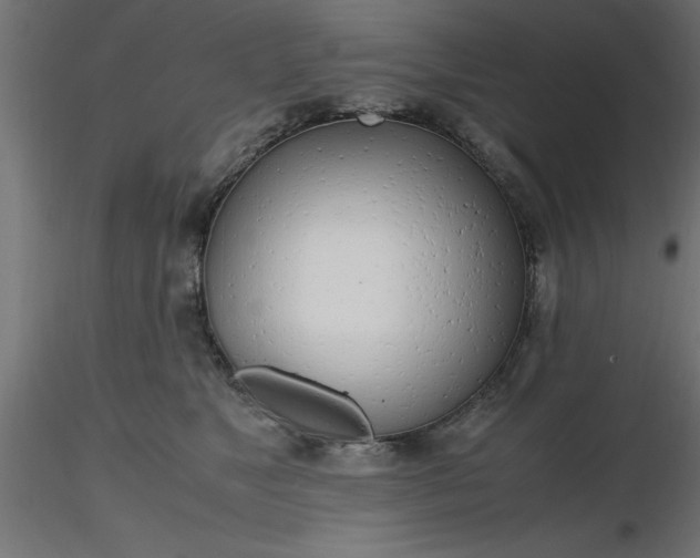 X0000116660517200912291640