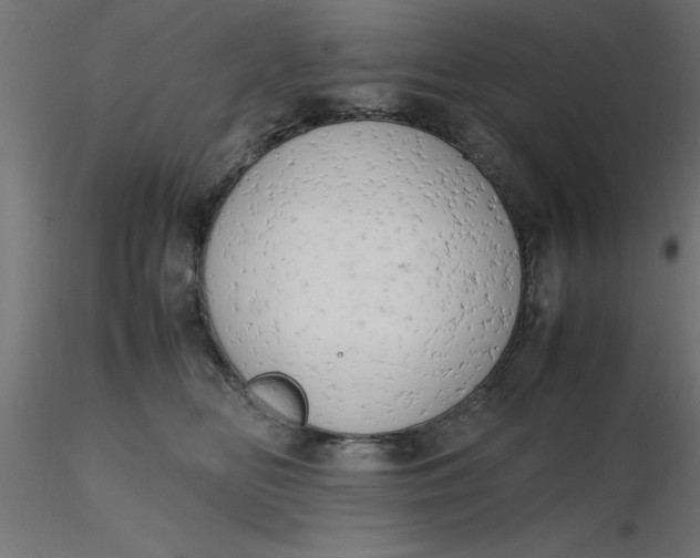 X0000116660518200912291640