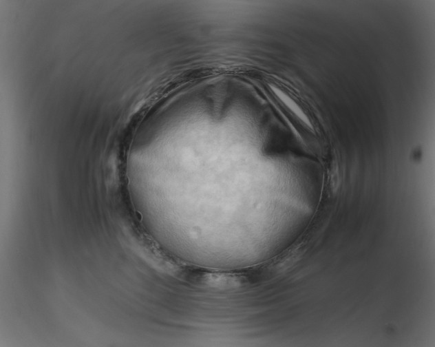 X0000116660520200912291640