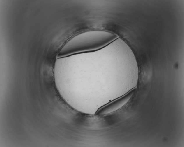 X0000116660521200912291640