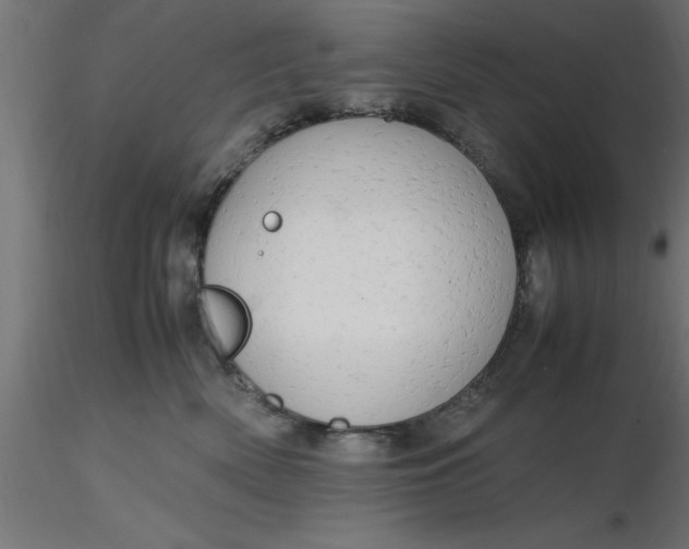 X0000116660522200912291640