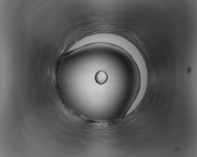 X0000116660524200912291640