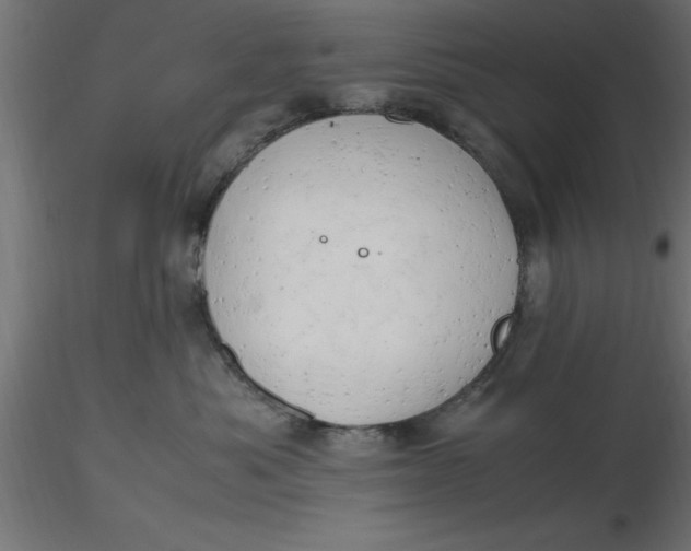 X0000116660525200912291640