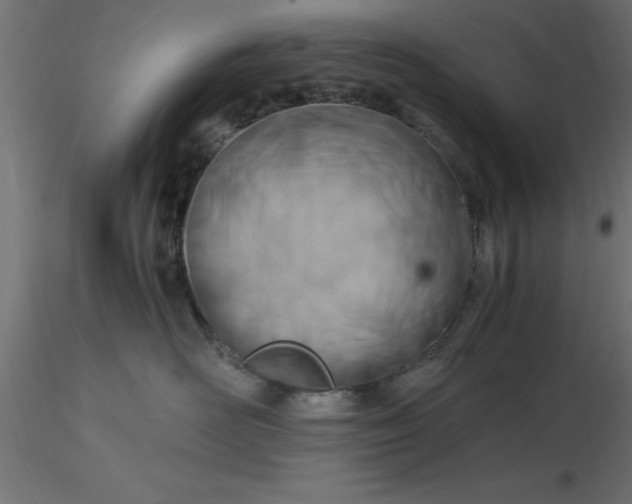 X0000116660526200912291640