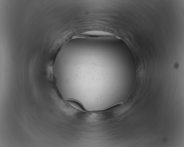 X0000116660527200912291640