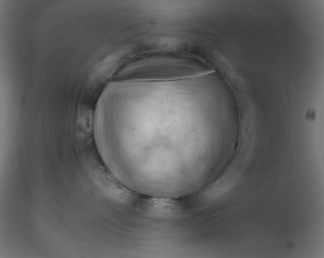 X0000116660528200912291640