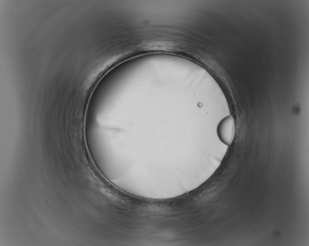 X0000116660529200912291639