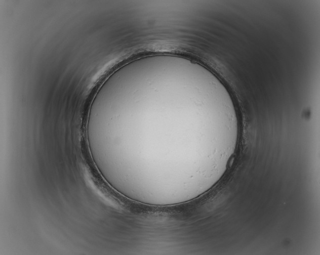 X0000116660530200912291639