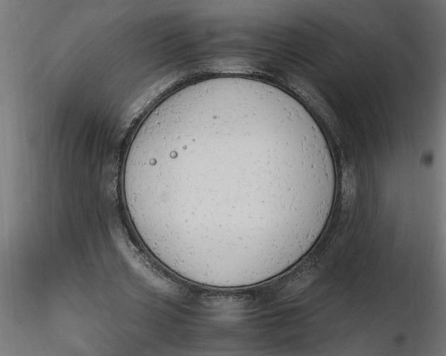 X0000116660533200912291639