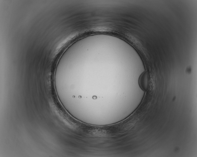 X0000116660535200912291639