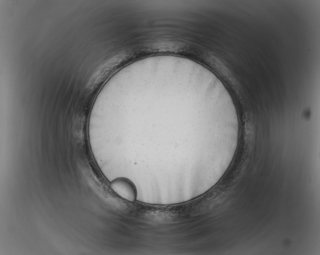 X0000116660537200912291639