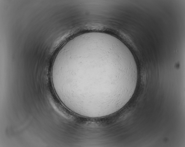 X0000116660538200912291639