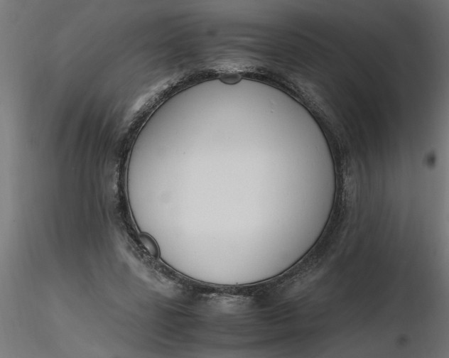 X0000116660539200912291639