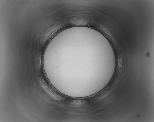 X0000116660541200912291639