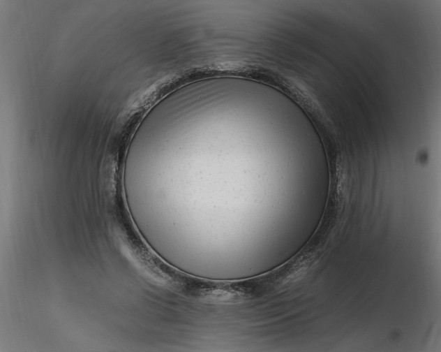 X0000116660542200912291639