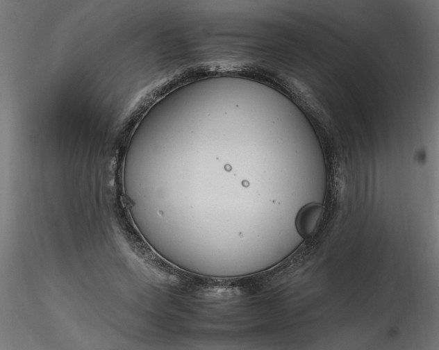 X0000116660543200912291639