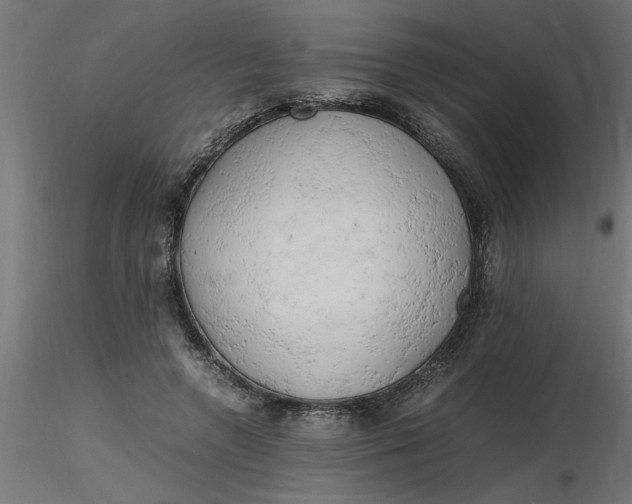 X0000116660546200912291639