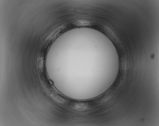 X0000116660549200912291639