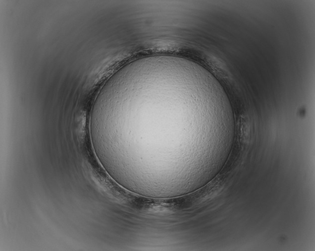 X0000116660550200912291639