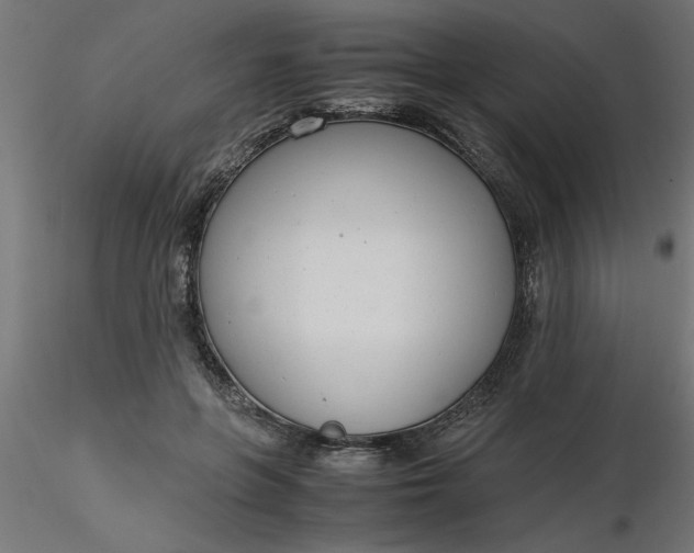 X0000116660551200912291639