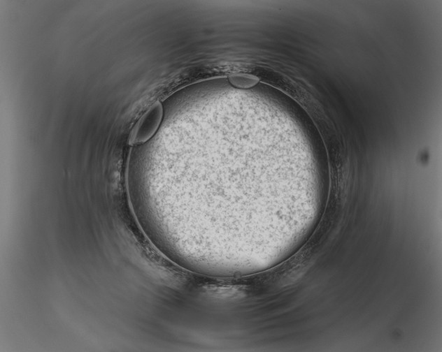 X0000116660553200912291639