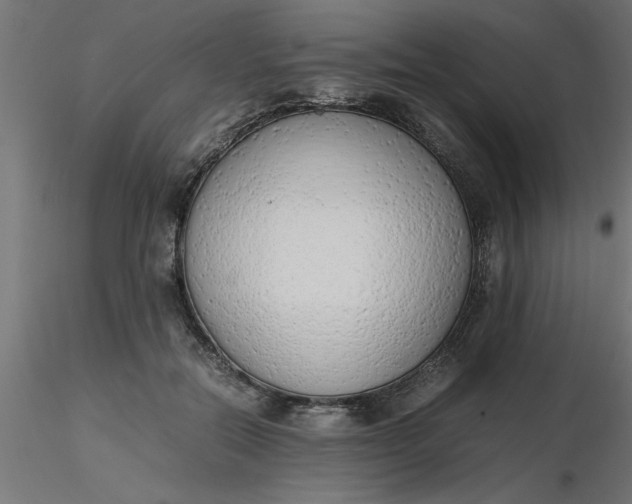 X0000116660554200912291639