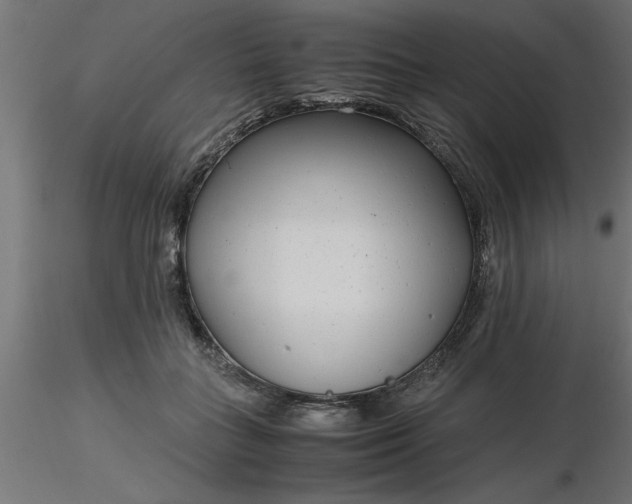 X0000116660555200912291639