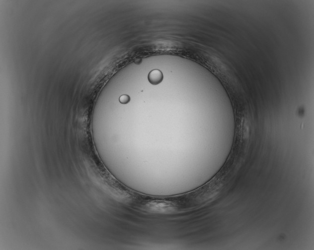 X0000116660557200912291640