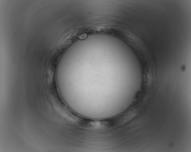 X0000116660558200912291640