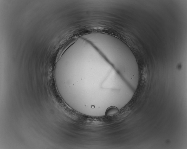 X0000116660559200912291640