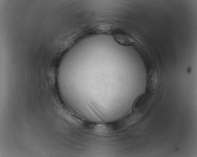 X0000116660562200912291640