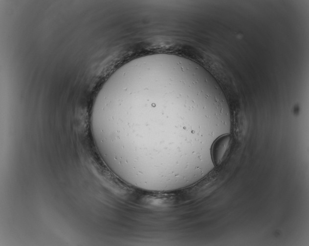 X0000116660563200912291640