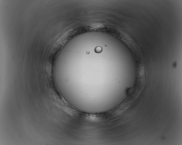 X0000116660565200912291640