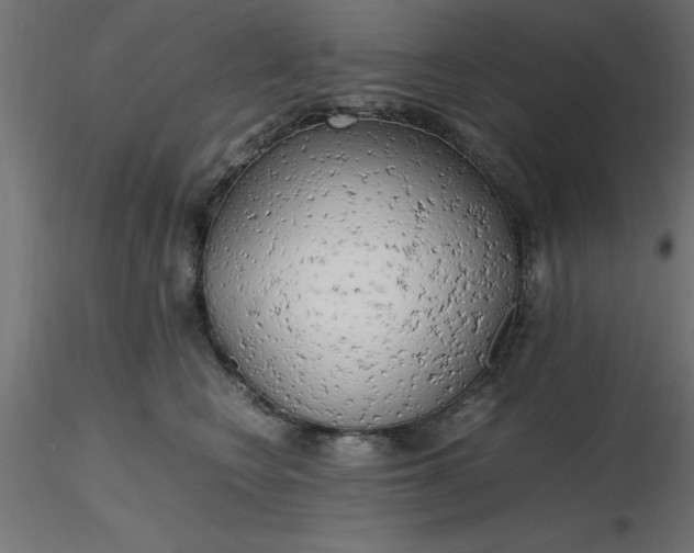 X0000116660566200912291640